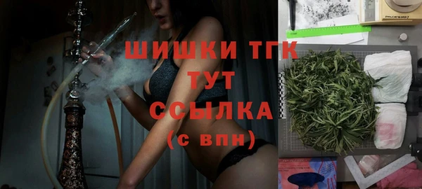 шишки Армянск