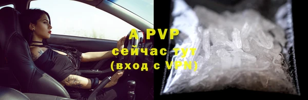 шишки Армянск