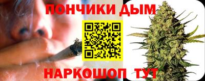 шишки Коммунар