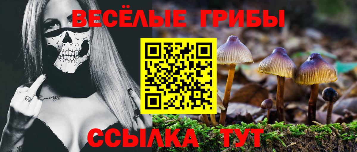 Галлюциногенные грибы мицелий Канаш