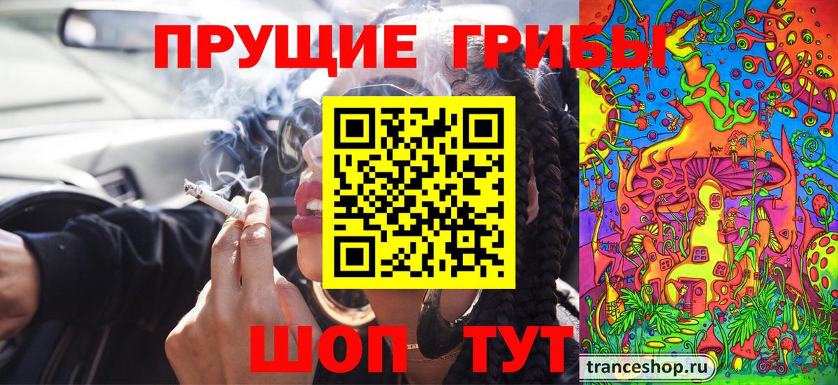 Псилоцибиновые грибы мухоморы  что такое   Канаш  Вход с VPN 